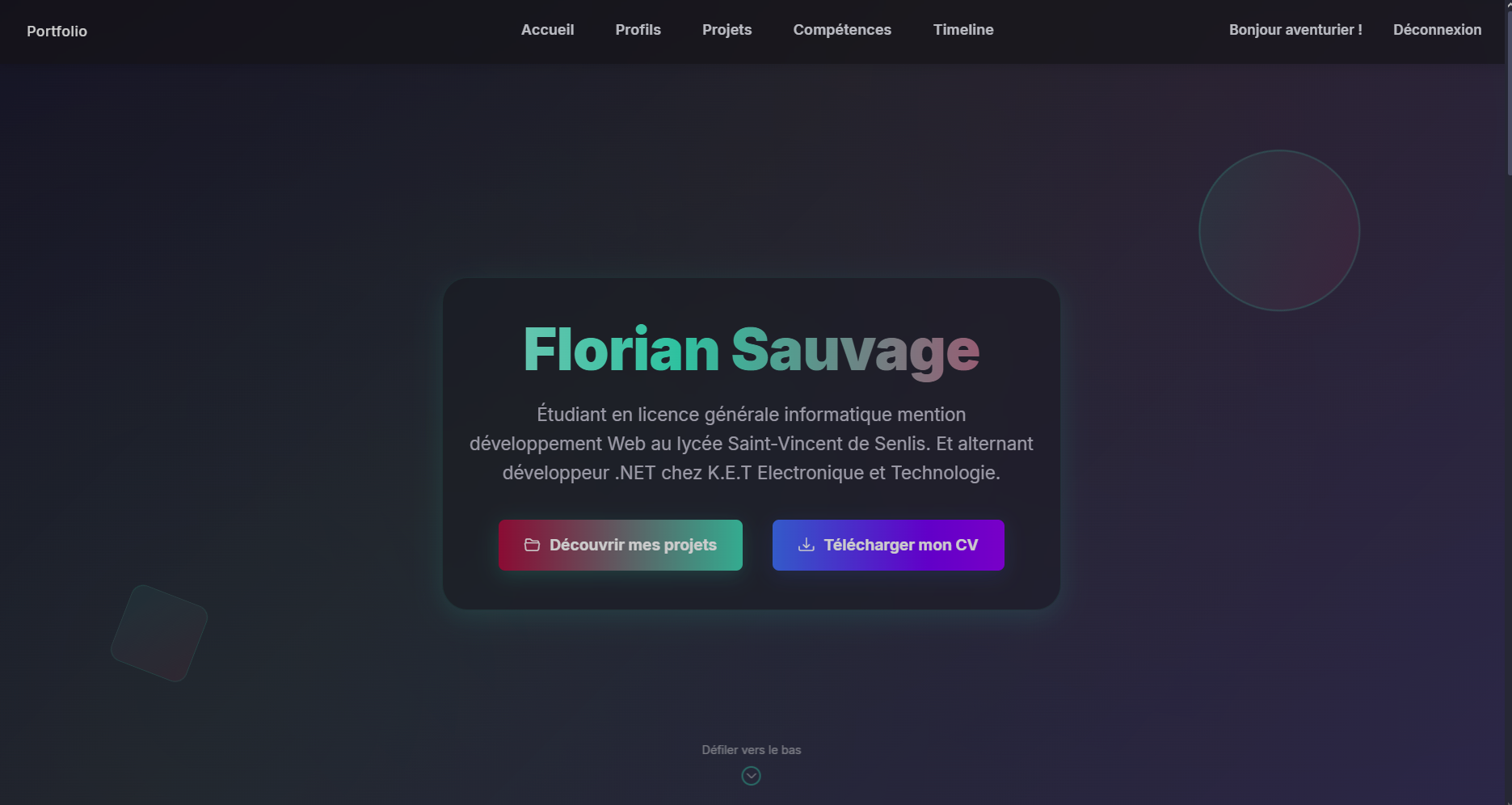 Aperçu Portfolio v2